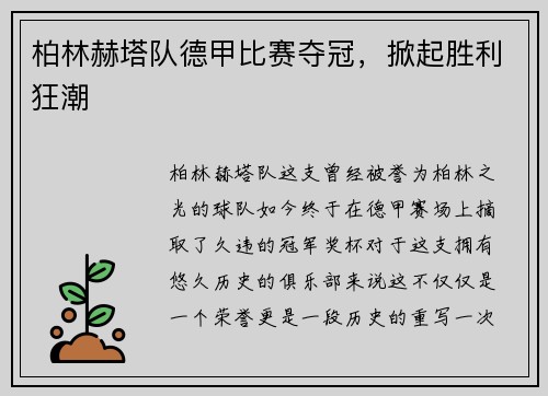 柏林赫塔队德甲比赛夺冠，掀起胜利狂潮